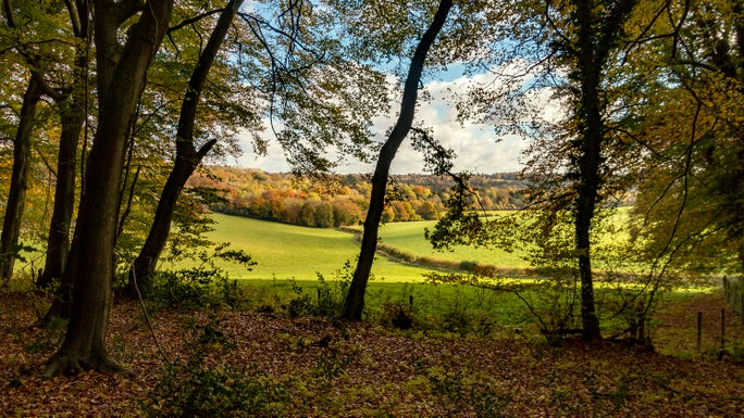 Echo Valley at Hughenden Estate, Buckinghamshire